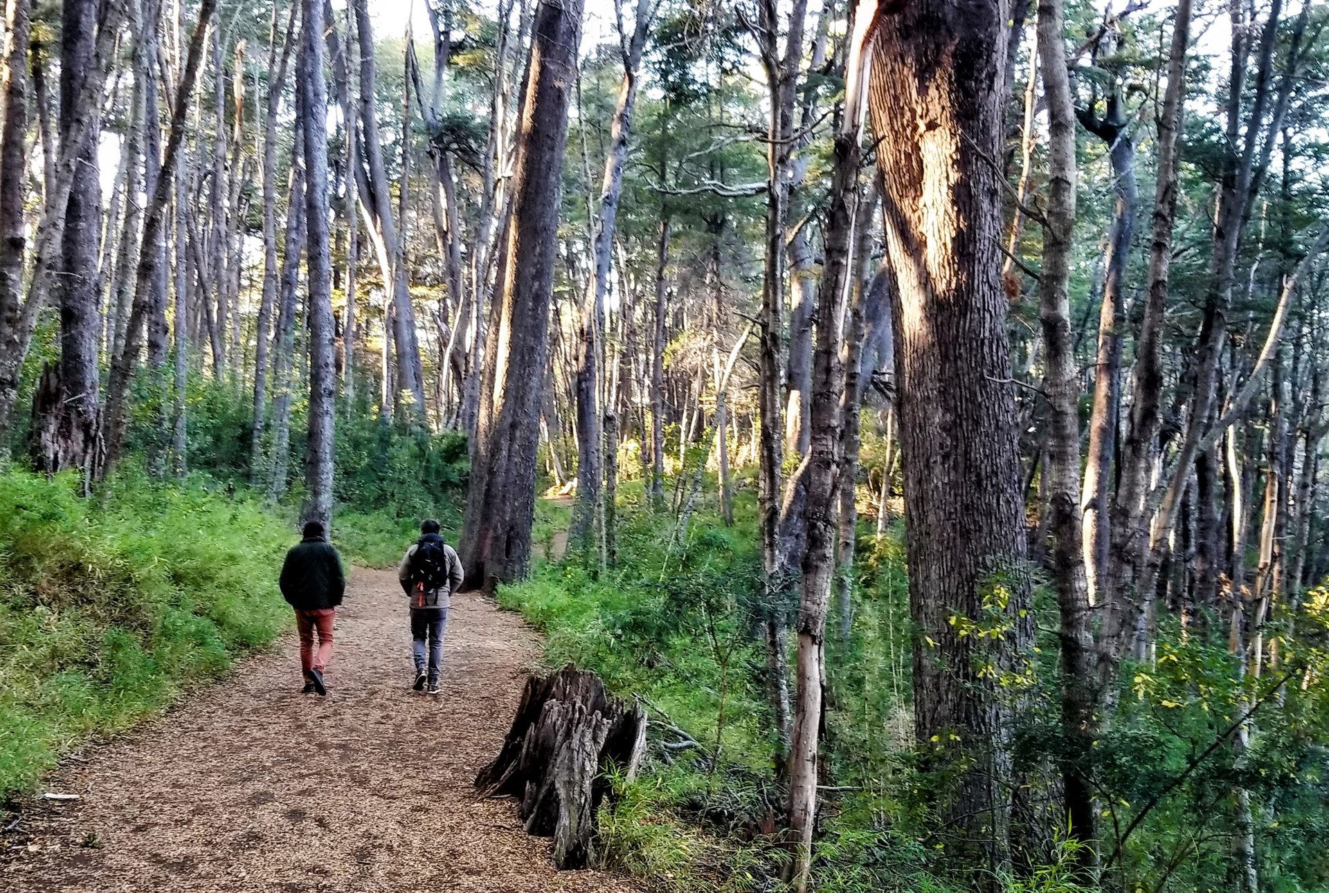 Hotel Mascardi Park Lodge - EL ENTORNO & PARQUE NACIONAL - fotografía 5