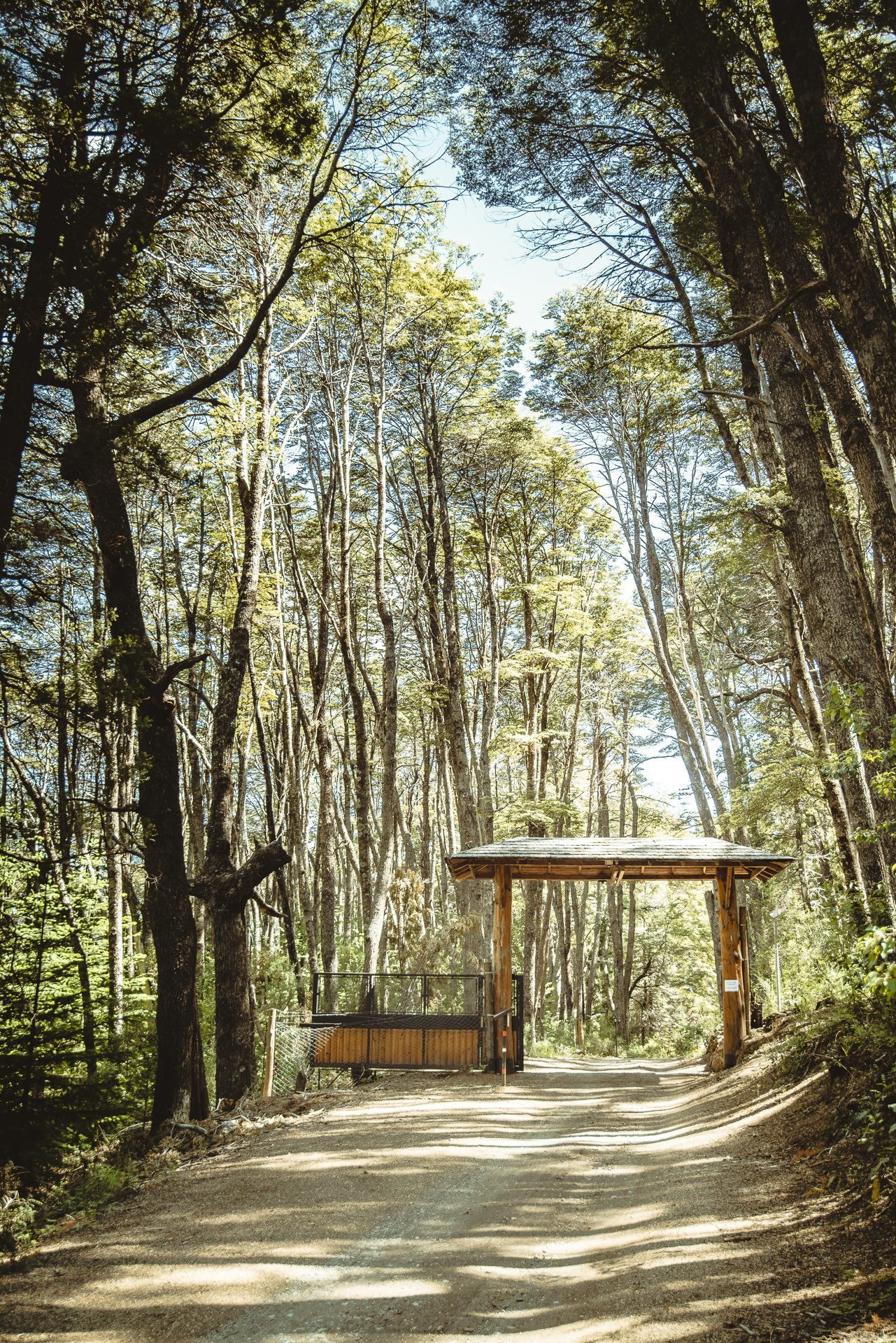 Hotel Mascardi Park Lodge - EL ENTORNO & PARQUE NACIONAL - fotografía 3