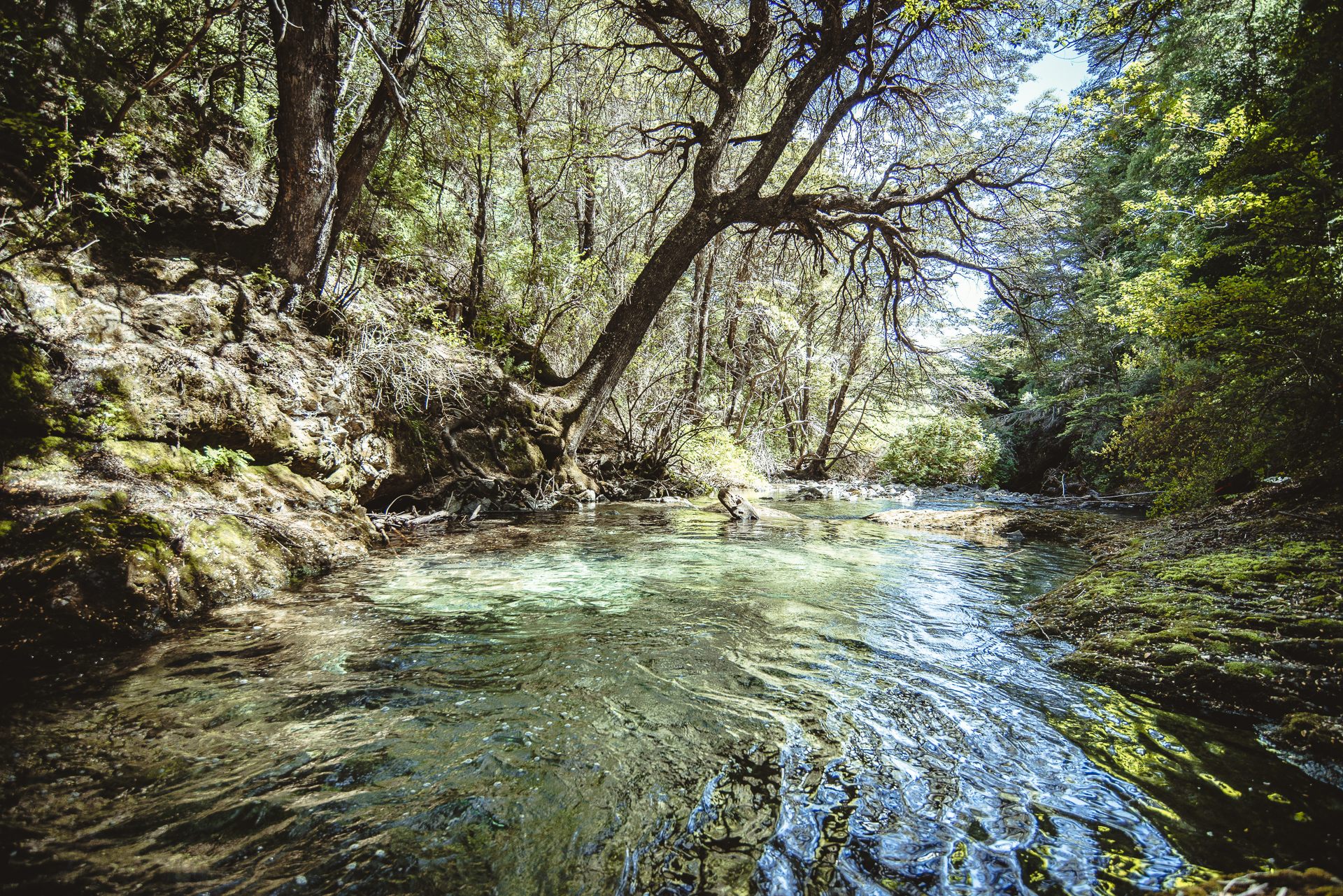 Hotel Mascardi Park Lodge - EL ENTORNO & PARQUE NACIONAL - fotografía 2